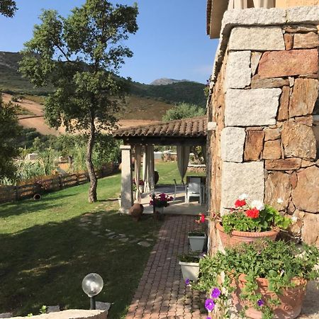 Il Giardino Di Daniela Apartments Сан-Теодоро Екстер'єр фото