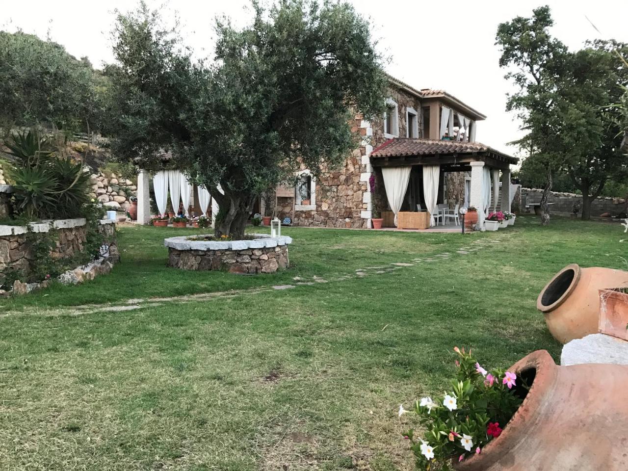 Il Giardino Di Daniela Apartments Сан-Теодоро Екстер'єр фото